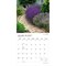 Plato; Gorgeous Gardens | 2027 12 x 24 Inch (Hanging) Monthly Square Wall Calendar | Foil Stamped Cover; Category:Wall Calendars; Image:4